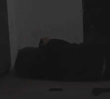 Artist profile picture